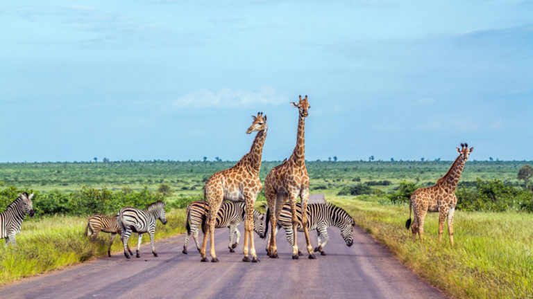 shutterstock_786552829-1
