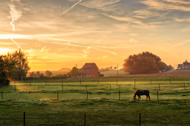 uitzicht-belgie-2
