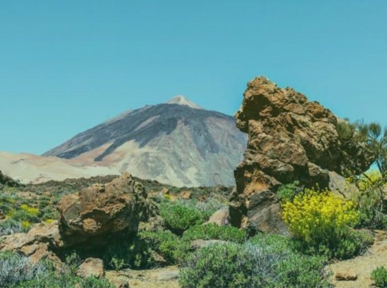 “Het rijdt fijner als je weet dat alles goed is geregeld”