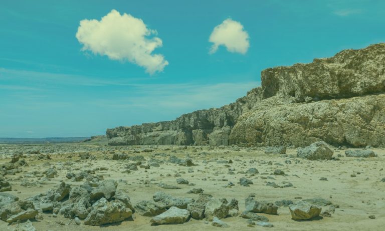 nationaal-park-slagbaai-bonaire