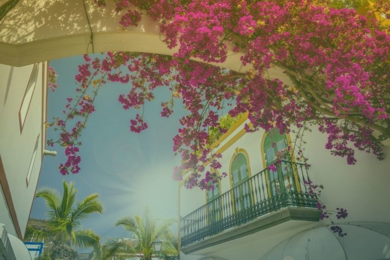 bergdorpje-grancanaria