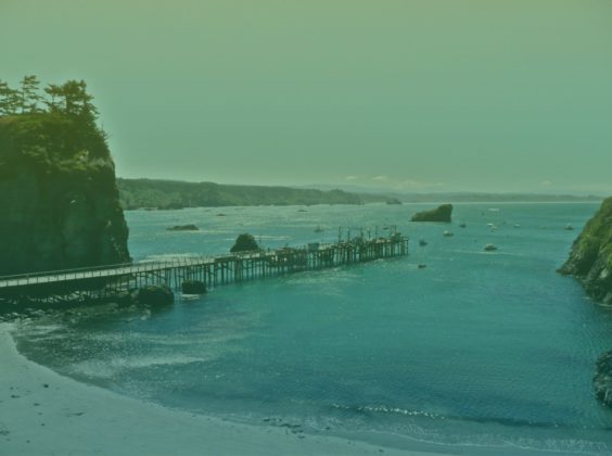 Roadtrippen langs vijf bijzondere plekken aan de andere kant van de Golden Gate Bridge