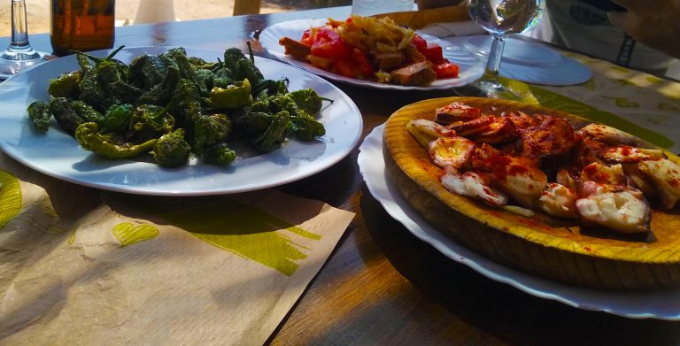 wooden-trays-with-spanish-tapas-and-various-tastes-of-balearic-food-for-lunch-2