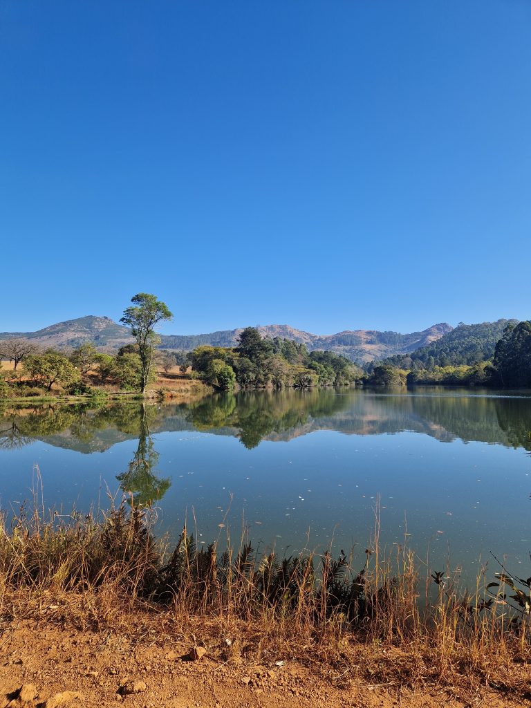 4-mlilwane-game-reserve-waar-je-zo-tussen-de-zebras-wandelt-2